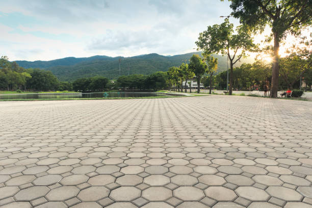 Best Decorative Driveway Pavers  in Clarksburg, MD